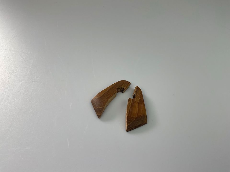 Architect Made Duck