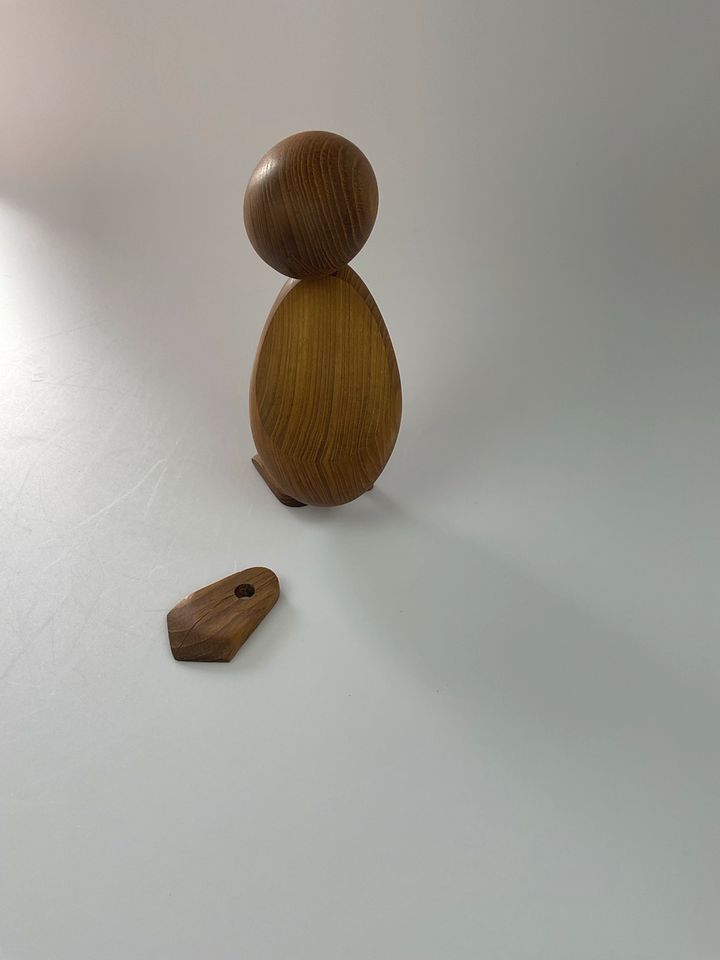 Architect Made Duck