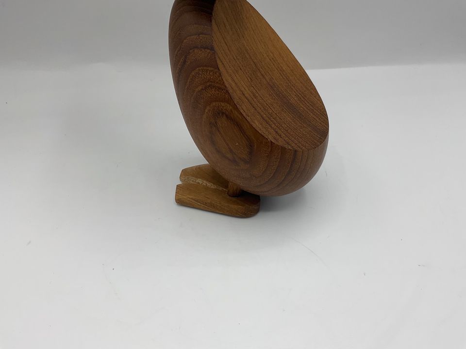Architect Made Duck