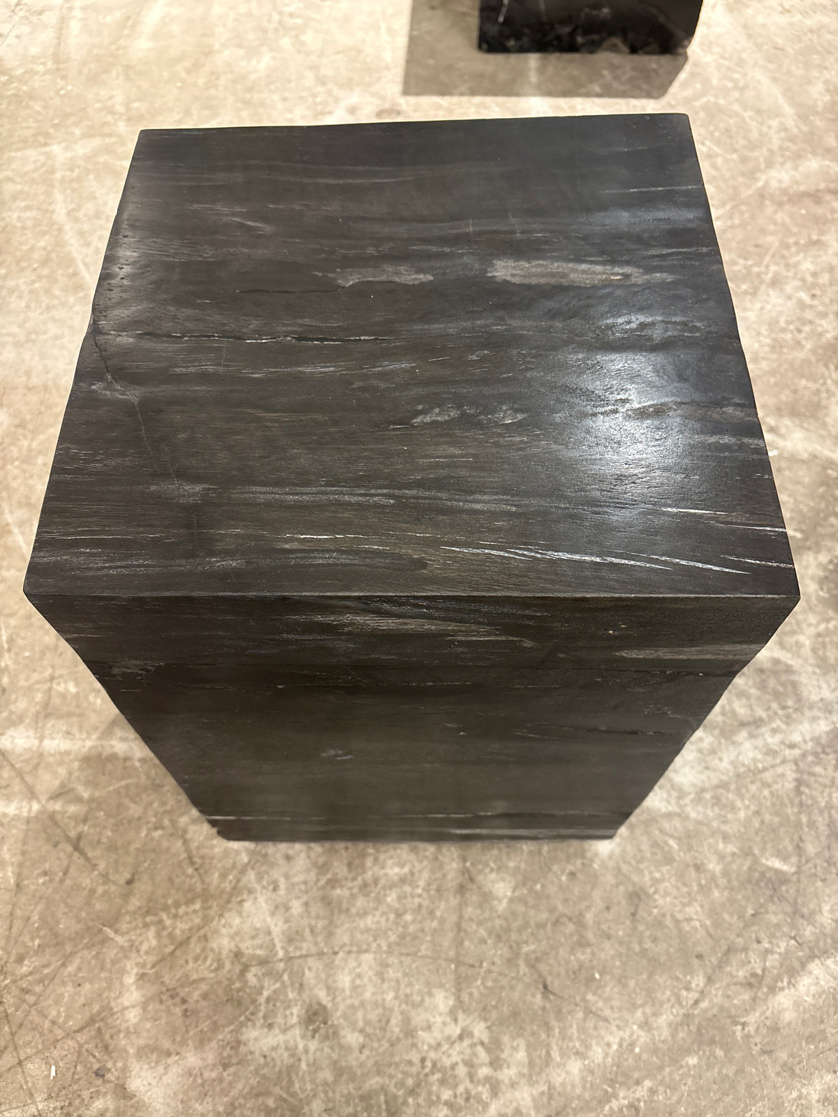 Jan Kurtz Hocker Tisch Versteinertes Holz /Holzstamm schwarz Unikate