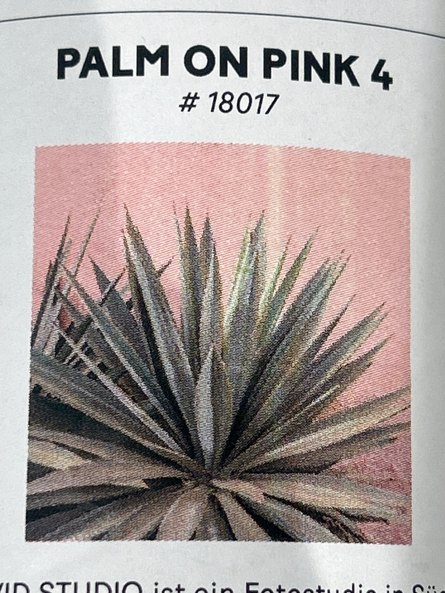 David + David Poster