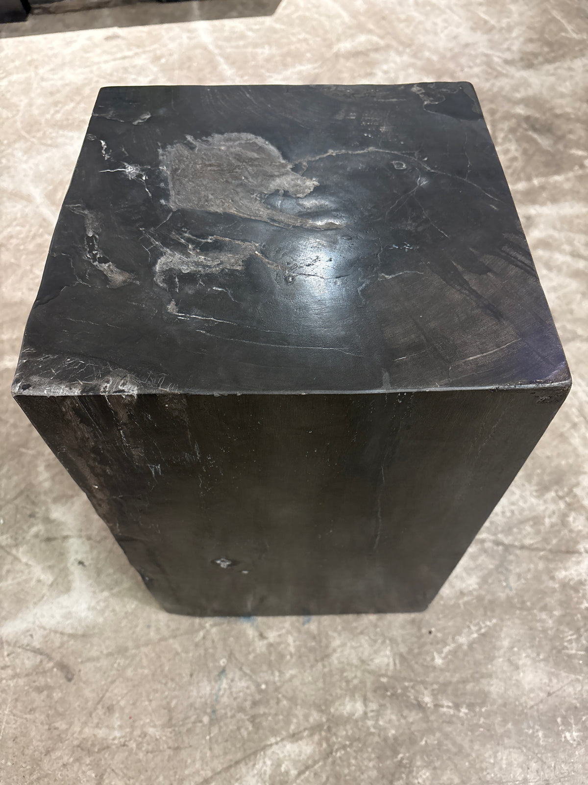 Jan Kurtz Hocker Tisch Versteinertes Holz /Holzstamm schwarz Unikate