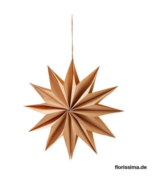 Florissima Paperstar Crystal 30 cm
